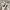 Nike Y2K Sportswear Sneakers Pria Cream Tan