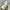 Nike Y2K Sportswear Sneakers Pria cream tan photo 4