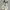 Nike Y2K Sportswear Sneakers Pria cream tan photo 1