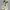 Nike Y2K Sportswear Sneakers Pria Cream Tan