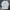 Long Sleeve X-girl - WHITE 