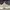 Asics Sportswear Minimalist Sneakers Pria White Cream
