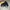 Crocs crush unisex photo 7