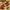 Crocs toddler jurrasic world photo 8