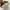 Christian Dior mule sendal wanita photo 7