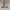 Adidas Ultraboost 19 White photo 2
