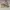 Adidas Ultraboost 19 White photo 1