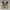 Adidas Ultraboost 19 White photo 3