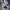VANS SK8-HI DX ANAHEIM fresstyle true blue checkerboard photo 2