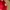 Vintage Canon Red Embroidered Caps photo 5