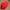 Vintage Canon Red Embroidered Caps photo 3