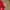 Vintage Canon Red Embroidered Caps photo 6