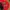 Vintage Canon Red Embroidered Caps photo 10