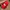 Vintage Canon Red Embroidered Caps photo 4