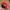 Vintage Canon Red Embroidered Caps photo 8