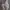 Vans Old Skool Style 36 Marshmallow photo 5