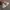 Vans Old Skool Style 36 Marshmallow photo 6