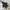 Jacket winter puffer parka tebal anak moimoln abu cakep photo 6
