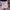 GARMIN FORERUNNER 165 photo 9