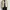 PARTIMENTO DOUBLE ZIPPER WORK JACKET photo 4