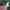 Dickies Hoodie Green L photo 1