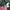 Dickies Hoodie Green L