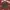 (NEGOTIABLE) Dark grey coquette fatal frame RAY BEAMS shirt photo 1