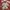 (NEGOTIABLE) White sailor Japanese blouse himekaji jiraikei photo 1