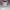 Pearly Gates Casual Hat Wanita white red photo 5