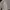 Japanese brand Lolita Cardigan Wanita white photo 2