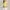 Yellow Ralph Lauren Slim Fit Polo Shirt – Size M photo 4