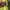 Yellow Ralph Lauren Slim Fit Polo Shirt – Size M photo 3
