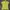 Yellow Ralph Lauren Slim Fit Polo Shirt – Size M photo 1