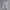 POLO RALPH LAUREN LAWSON BOOTCUT GREY WASHED JEANS photo 3