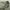 Ciao Cargopants Green Military photo 3
