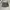 Ciao Cargopants Green Military photo 2