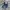 EDWIN EXCLUSIVE VINTAGE XV BOOTCUT FIT BLUE FADED JEANS