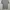Burberry T-shirt Wanita gray photo 5