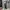 DENIZEN FROM LEVI'S REGULAR STRAIGHT FITNLUE JEANS photo 7