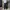 DENIZEN FROM LEVI'S REGULAR STRAIGHT FITNLUE JEANS photo 8