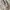 Japanese brand Lolita Cardigan Wanita pink photo 5