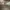 Adidas yeezy 350 triple white photo 5