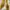 Adidas yeezy 350 triple white photo 4