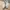 Adidas yeezy 350 triple white photo 1