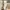 Adidas yeezy 350 triple white photo 3