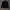 Tracktop Adidas superstar  photo 1