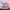 Sepatu New Balance 413 v2 running W413MS2 pink original prel photo 4