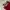 Christian louboutin tricolor suede and leather photo 1