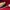 Christian louboutin tricolor suede and leather photo 7