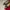 Christian louboutin tricolor suede and leather photo 2